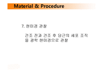 [식품공학] Blanching방법에 따른 건조당근 특징-16