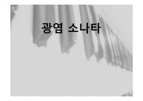 [인문학] 김동인 `광염소나타` 분석-1