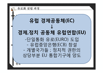 유로화의 과거, 현재 그리고 미래-10