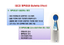 공급사슬관리(Supply Chain Management)-10