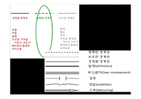 [심리학] 구조적, 단기 가족치료-13