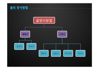 [수산경영] 굴 양식업-7