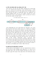 미국발 금융위기의 원인과 전개과정, 해결책과 시사점-2