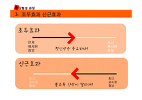 [사회심리학] 대인지각 이론 정리-후광효과와 초두효과, 신근성 효과-3