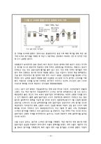 [국제경영] 진로재팬의 경영사례 분석-16