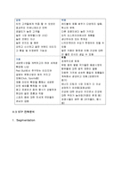 레드불 마케팅 전략분석및 새로운 마케팅전략제안-12