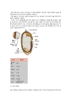 식용작물학13A)동남아시아자생한고기능성쌀품종을 강원도산간지에재배시예상되는문제해결방법0k-6