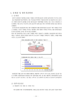 ssm 문제점의 개선방안과 성공요인-10