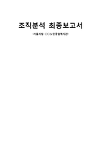 노인종합복지관의 조직분석-1