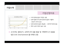 SM엔터테인먼트의 경영분석-4