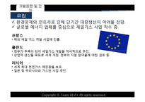 [환경경제학] 셰일가스에 대비한 에너지 및 사업관련 전략-10