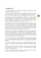 [사업계획서] 스마트폰 어플리케이션 개발(위치기반 지도서비스) 사업계획서_어플기획서-2