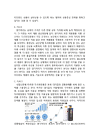 댕기머리 마케팅전략분석및 댕기머리 브랜드분석과 브랜드강화전략 분석-11