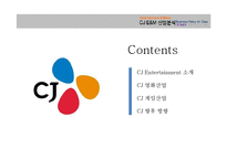 CJ Entertainment 사업분석-2