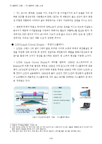 디스플레이정의,디스플레이산업,국내외적발전과정,국제적위상,향후전망-7