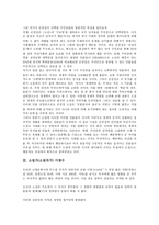 [소설가]소설가(소설작가) 조벽암, 손창섭, 소설가(소설작가) 이광수, 소설가(소설작가) 안함광, 소설가(소설작가) 김유정, 소설가(소설작가) 김동인, 소설가(소설작가) 하근찬, 소설가(소설작가) 황석영 분석-6