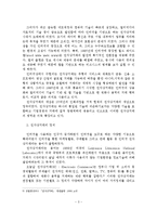 [졸업논문] 인터넷마케팅의 국내외 기업 사례분석과 전략에 관한 연구-5