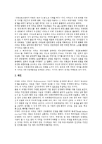 [이라크침략]미국 이라크침략(미국 이라크침공)의 명분, 미국구상, 미국 이라크침략(미국 이라크침공)의 반미감정, 미국 이라크침략(미국 이라크침공)의 영국참여, 미국 이라크침략(미국 이라크침공)의 한국참여-6