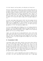 [기업스포츠광고][기업]기업스포츠광고의 효율성, 기업스포츠광고의 스폰서십(스폰서쉽), 기업스포츠광고의 소비자의사결정과정, 기업스포츠광고의 모델, 기업스포츠광고의 마케팅, 기업스포츠광고의 사례 분석-9