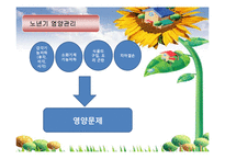 노년기의 건강과 케어(주요질환, 질병, 일상생활 동작능력, 영양관리, 노인케어기술, 노인건강관-11