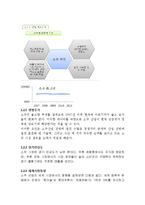 하이트진로 마케팅전략 SWOT,STP,4P전략분석및 하이트진로 기업분석-3