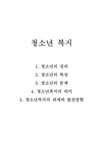 청소년복지(정의, 특성, 청소년문제, 의미, 과제와 발전방향)-1