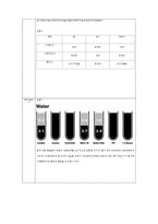 용해와 극성 유기화학 실험-11