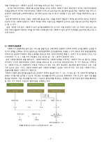 사회복지 사업법 분석-5