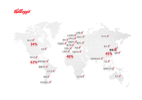 켈로그 마케팅 실패사례(인도시장) 분석과 마케팅성공사례(한국시장) 분석및 켈로그 경영분석과 켈로그 앞으로의방향분석-6