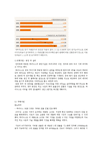 하이닉스 Hynix 기업분석및 하이닉스 새로운전략도출(실무자 인터뷰자료포함)-11