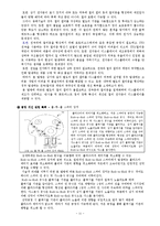 차세대 전략 제품 -플렉서블 디스플레이 정의, 핵심 기술, 기술별 국내외 기술 개발 현황, 특허분석-13