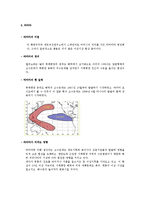 지구 온난화로 인한 이상기후의 원인과 대책 탐구-7