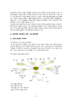 영유아 보육 프로그램에 대해서-13