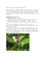 농산식품가공학 - 레몬에 관하여-3