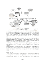 [사회복지실천기술론] 가족수준의 실천기술에 관해-5