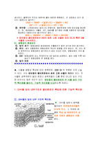 식물형태학 - C3와 C4식물의 형태학적 차이-2