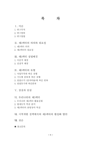 [공기업론] 우리나라의 제3섹터 연구-1