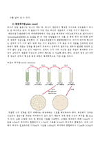 병원미생물학실험 - 박테리아 생장곡선-7