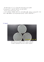 병원미생물학실험 - 박테리아 생장곡선-17
