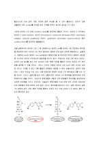 비타민 C의 정량 [산화-환원]-4