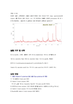 비타민 C의 정량 [산화-환원]-7