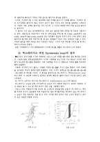 [전기전자] 자성체에 관해서[자석]-3