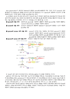 분자생물학사 - 분자생물학사의 인물 및 연구 조사-3