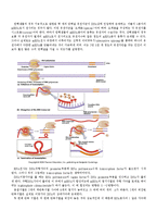 분자생물학사 - 분자생물학사의 인물 및 연구 조사-4