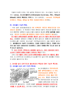 식물형태학 - c3와 c4식물의 형태학적 차이와 특징-5