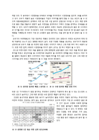 삼양라면 마케팅전략분석과 삼양라면 SWOT,STP,4P전략분석및 삼양라면 새로운 마케팅전략제안과 나의의견-18