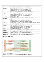 AUCTION 옥션 마케팅 전략분석과 옥션 E비지니스전략과 옥션 성공요인분석과 미래전망-6