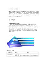 아모레퍼시픽 라네즈 해외진출 마케팅 SWOT,STP,4P전략분석과 라네즈 향후 시사점분석-16