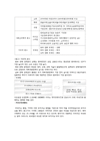 아모레퍼시픽 라네즈 해외진출 마케팅 SWOT,STP,4P전략분석과 라네즈 향후 시사점분석-17