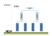 [창업계획서] 파충류 분양 인터넷 쇼핑몰 창업 사업계획서-5